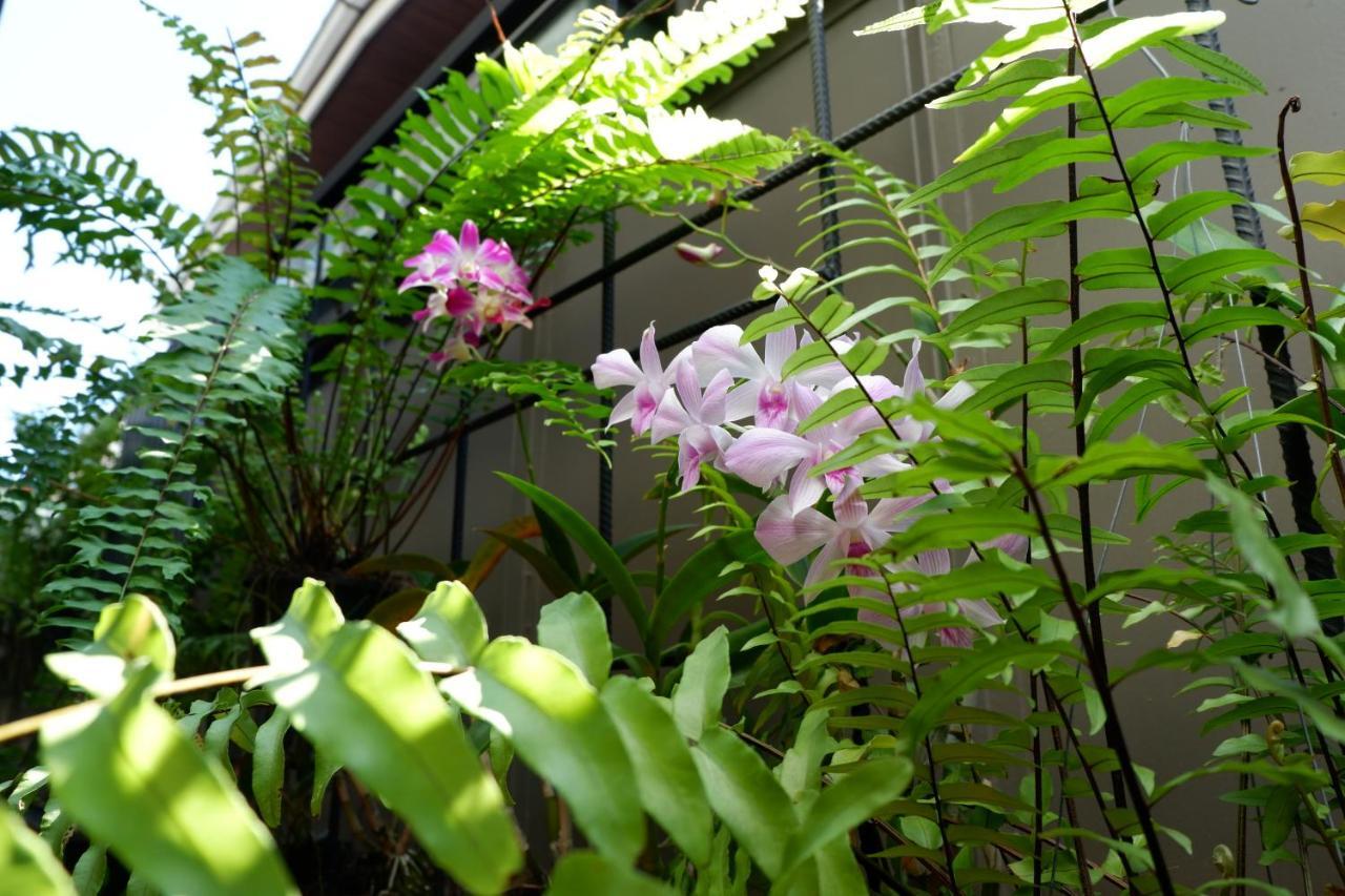 bangkok bed place Buitenkant foto